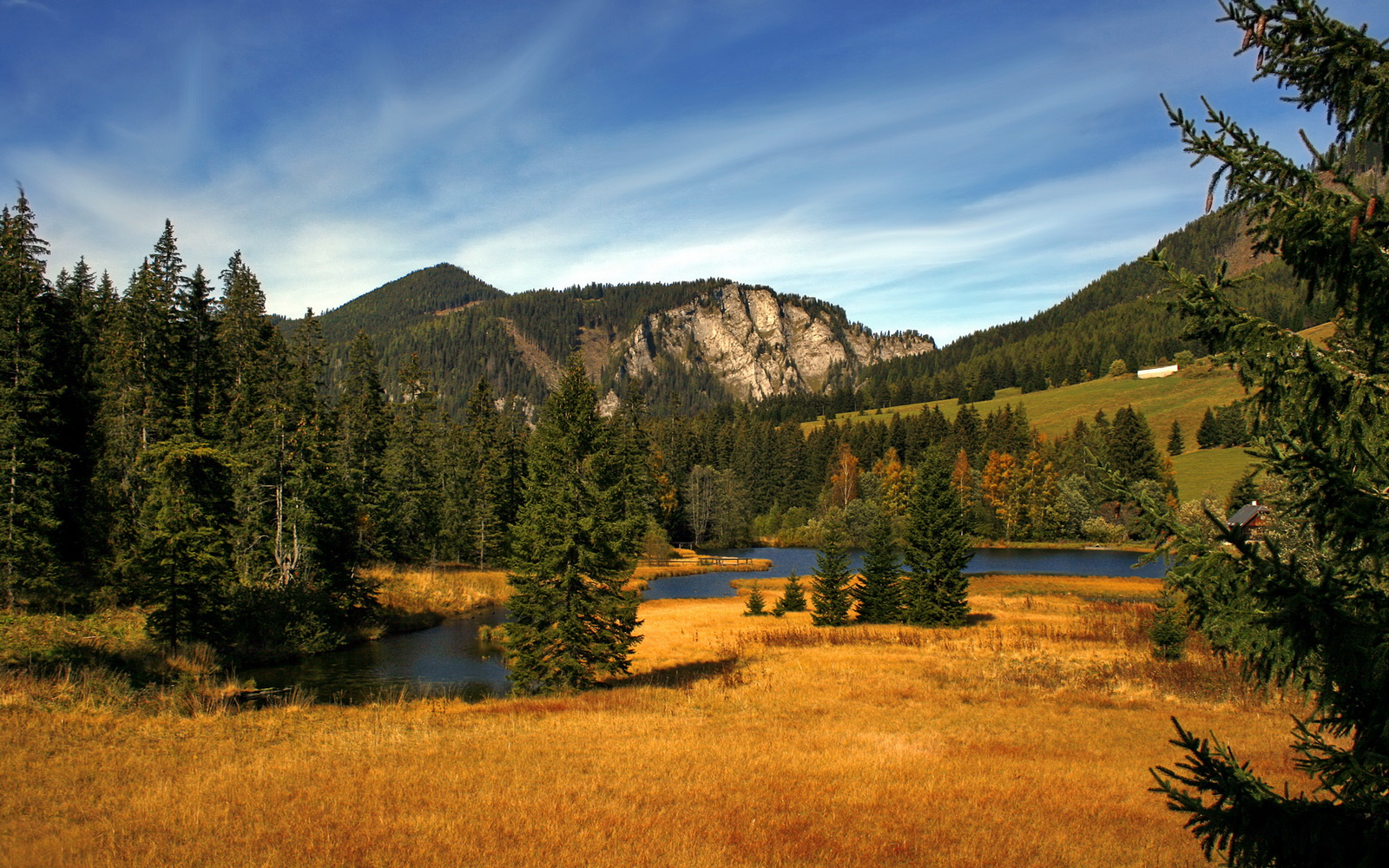 东决关键战之夜,当弗拉霍维奇化身禁区神迹,进攻端已成无解方程式